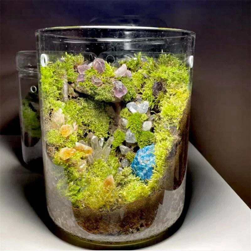 Glass container with green moss and small crystals on a white surface