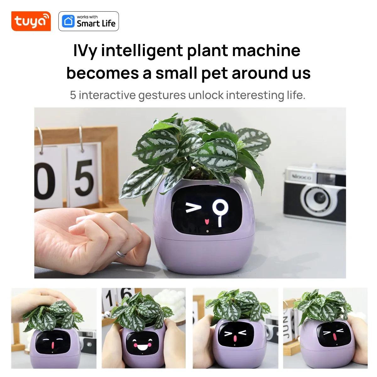 Plantagotchi Ivy Smart Planter: Your Adorable Plant Companion - In home decor