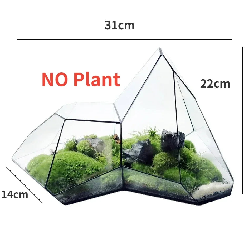 Geometric glass terrarium with dimensions labeled, including &