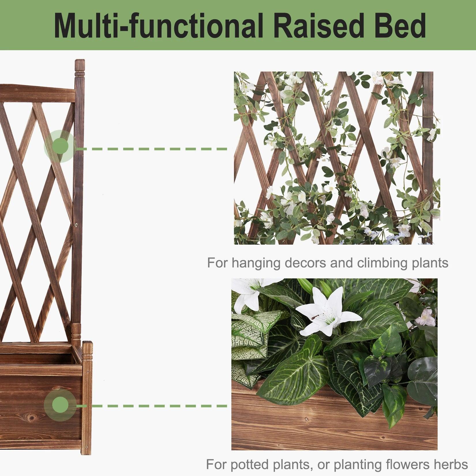 Stained pine wood garden bed for vegetables and herbs