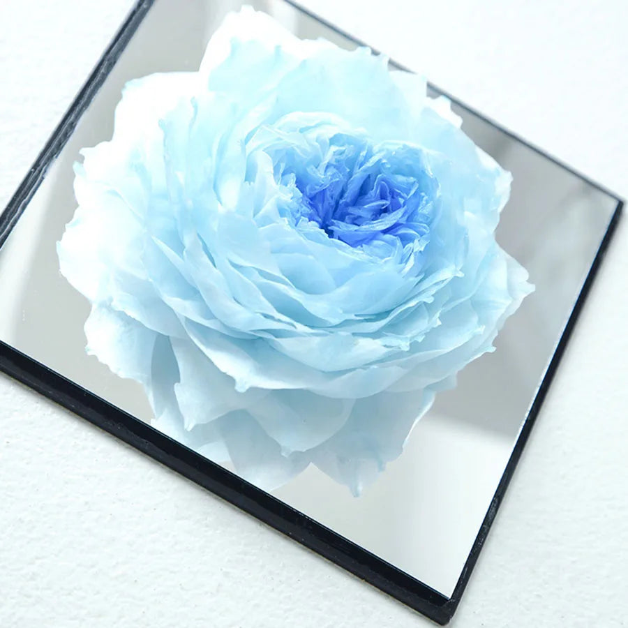 The MODFIN preserved peony display against a neutral background