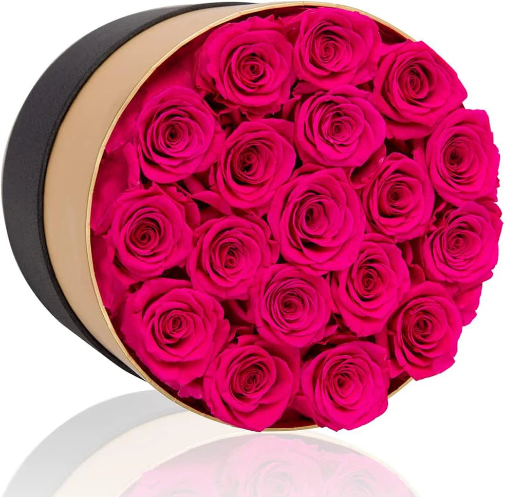 MODFIN 18 preserved roses, perfect Valentine&