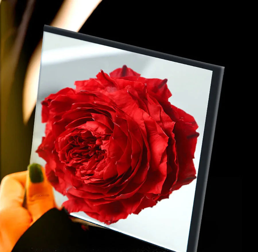 Elegant mirrored box showcasing a preserved peony.
