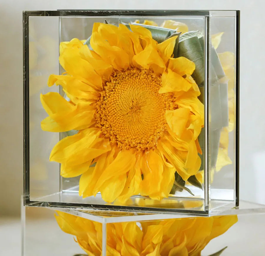 Close-up of preserved sunflower petals inside the clear box.