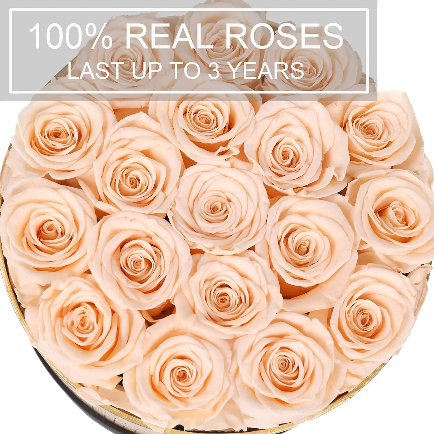 Close-up of preserved red roses in a gold and black box.