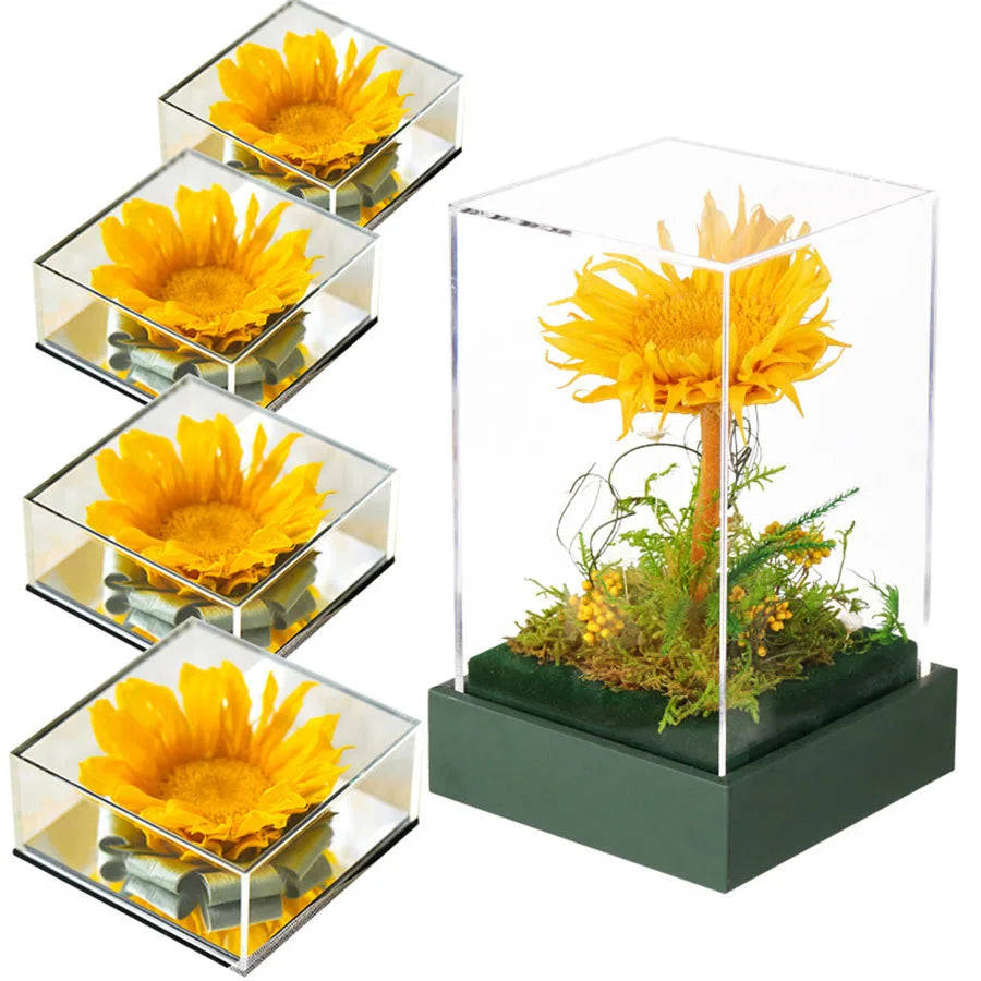 MODFIN preserved sunflower, a perfect Valentine&