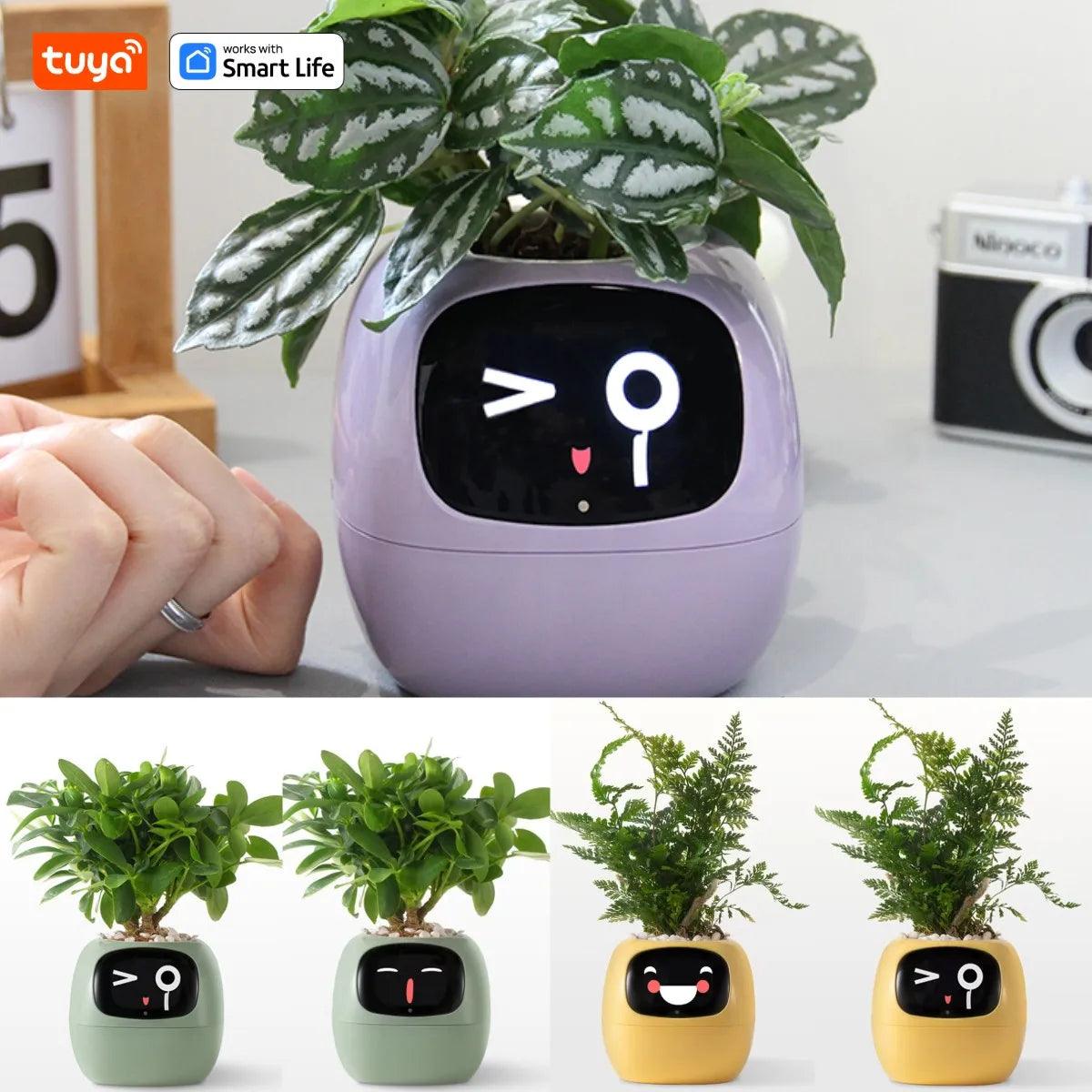 Plantagotchi Ivy Smart Planter: Your Adorable Plant Companion - In home decor