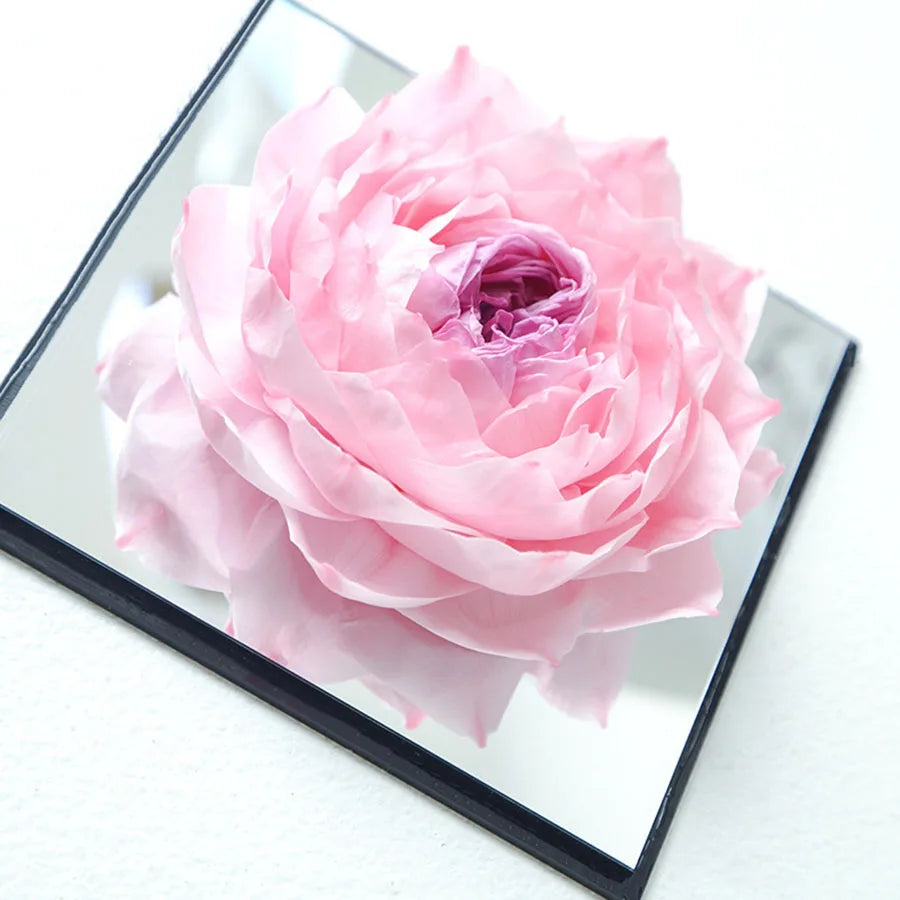 Preserved peony in a clear and reflective box, ready for gifting.