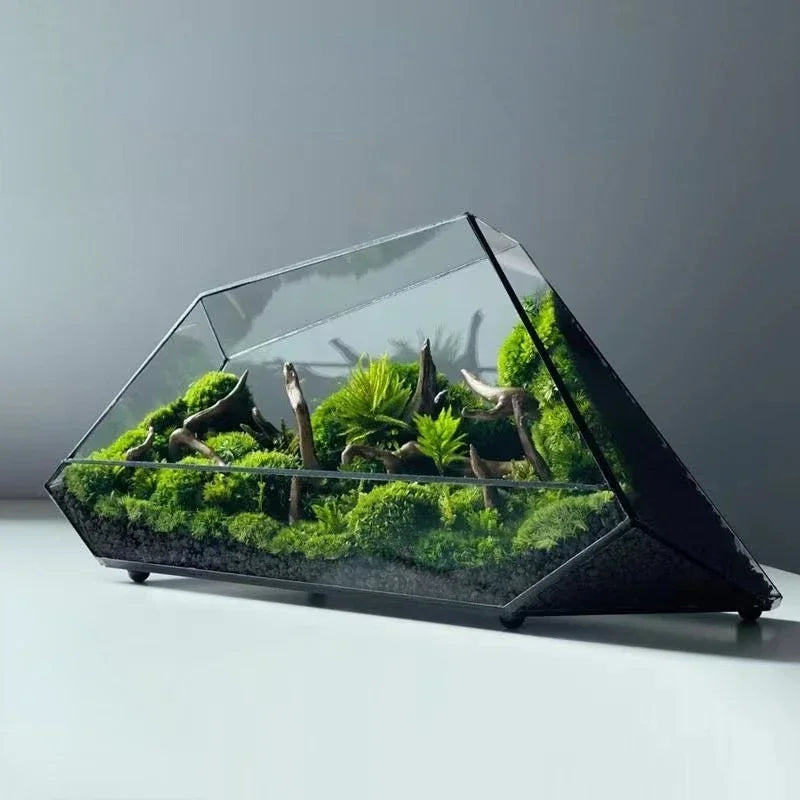 Geometric terrarium with plants on a plain background