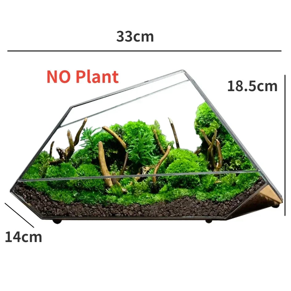 Geometric terrarium with dimensions labeled on a white background