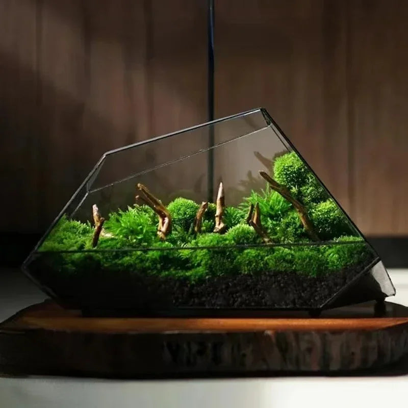 Geometric glass terrarium with green moss and wooden sticks on a dark background