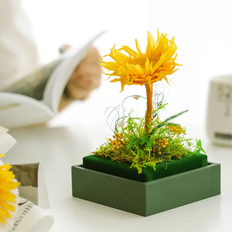 Elegant acrylic box showcasing a vibrant preserved sunflower.