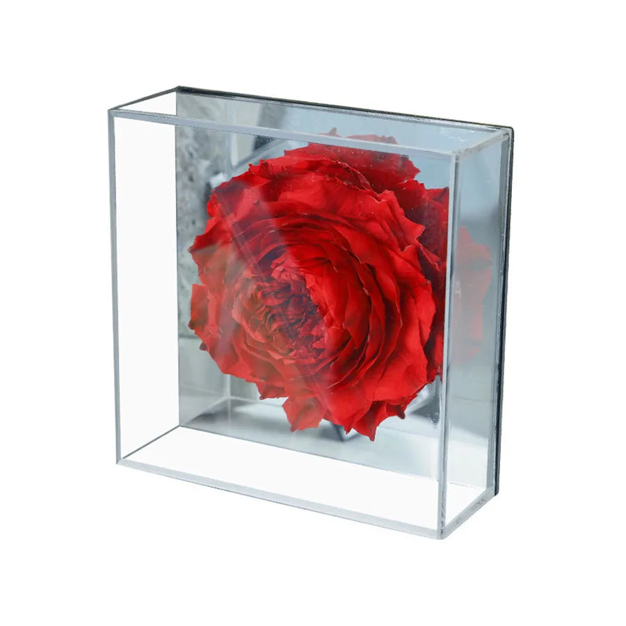 Close-up of preserved peony petals reflecting in the acrylic box.