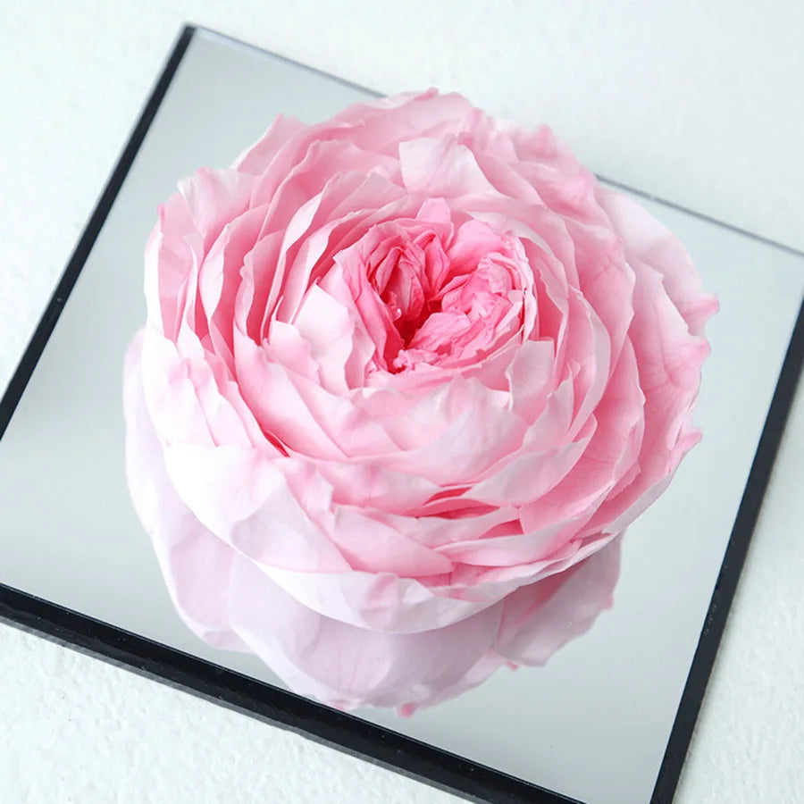 Romantic and contemporary preserved flower display