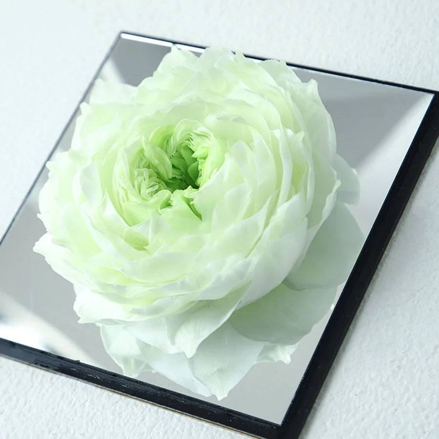 The MODFIN preserved peony display against a neutral background
