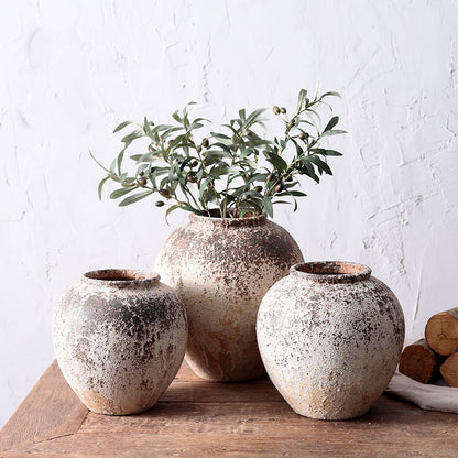 Add Elegance to Your Space with Ceramic Dried Flower Decorative Vase - In home decor