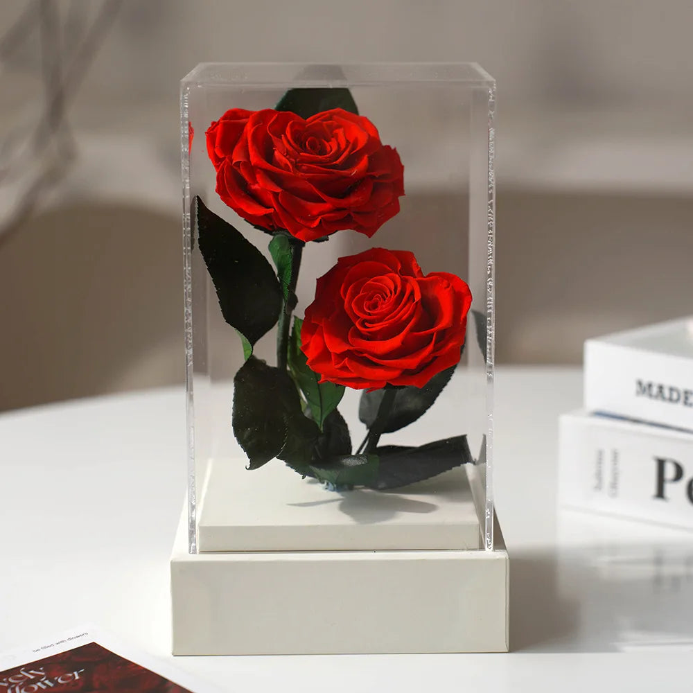 Romantic and modern preserved rose display.