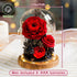 Preserved rose bear, a lasting symbol of love.