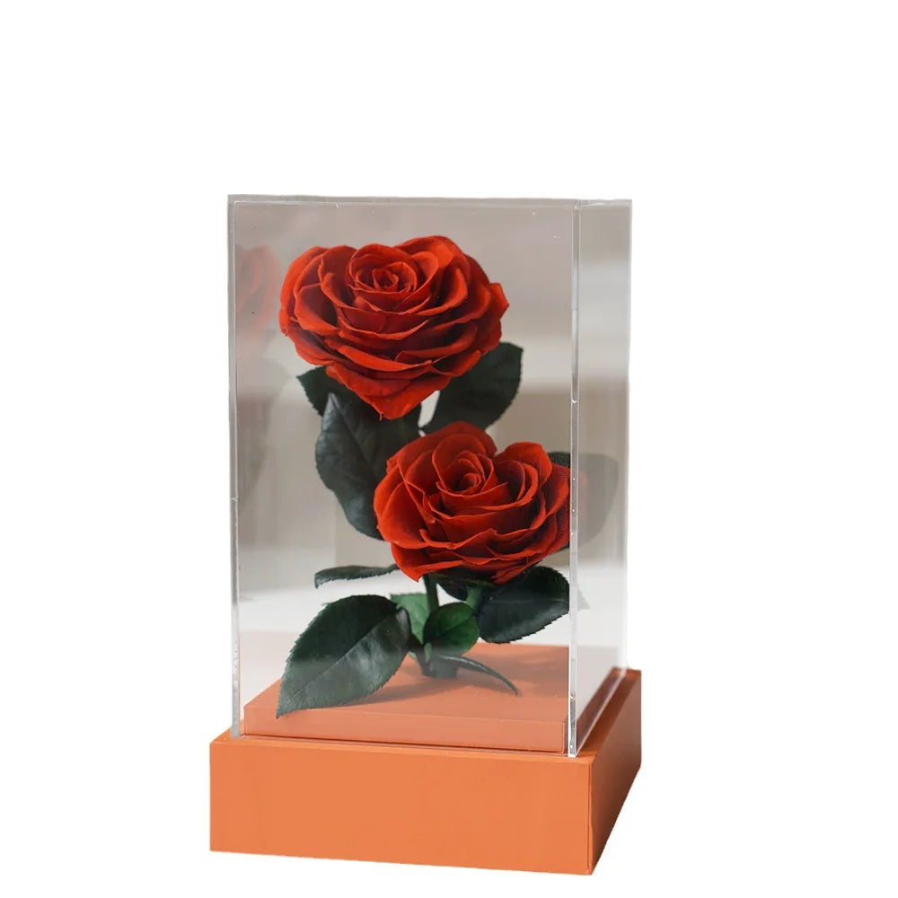 Elegant acrylic box showcasing two preserved roses